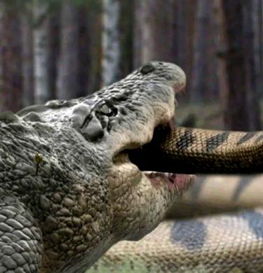 LAKE PLACID VS. ANACONDA