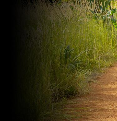 KINOFINDER - Jetzt die besten Tickets sichern!